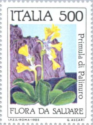 Colnect-176-225-Nature-Protection--Palinuro-primula.jpg