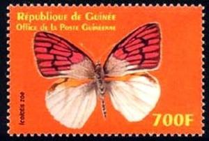 Colnect-2176-066-Butterfly-Icolotis-zoe.jpg