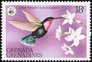 Colnect-2193-320-Purple-throated-Carib-Eulampis-jugularis.jpg