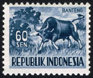 Colnect-2195-590-Banteng-Bos-javanicus.jpg