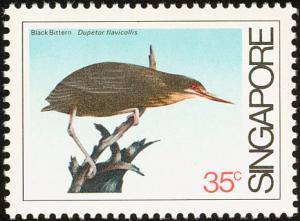 Colnect-2342-651-Black-Bittern-Dupetor-flavicollis.jpg