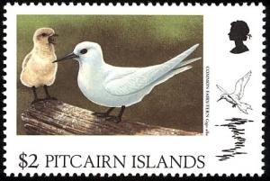 Colnect-2648-981-White-Tern-Gygis-alba.jpg