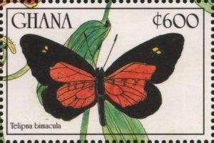 Colnect-2984-211-Common-Telipna-Telipna-acraea.jpg