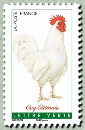 Colnect-3148-423-Gatinais-Rooster-Gallus-gallus-domesticus.jpg