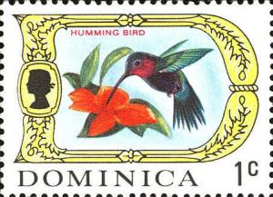 Colnect-3168-943-Purple-throated-Carib-Eulampis-jugularis.jpg