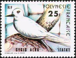 Colnect-3221-706-White-Tern-Gygis-alba.jpg