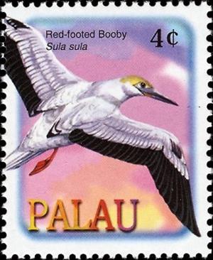 Colnect-3520-954-Red-footed-Booby%C2%A0-%C2%A0Sula-sula.jpg