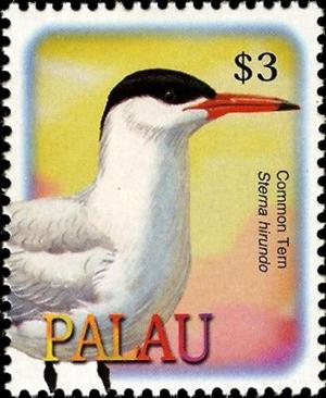 Colnect-3520-968-Common-Tern%C2%A0-%C2%A0Sterna-hirundo.jpg