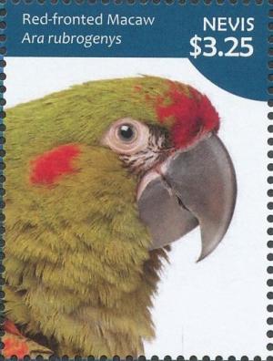 Colnect-4412-923-Red-fronted-Macaw-Ara-rubrogenys.jpg