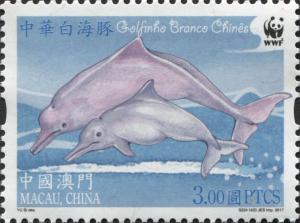 Colnect-5296-780-Chinese-White-Dolphin-Sousa-chinensis.jpg