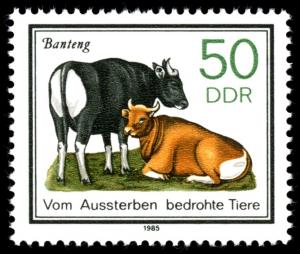 Colnect-583-407-Banteng-Bos-javanicus.jpg