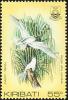 Colnect-1095-844-Pacific-White-Tern-Gygis-alba-candida-.jpg