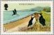 Colnect-124-501-Atlantic-Puffin-Fratercula-arctica-Beach-at-Cranstal.jpg