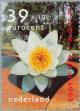 Colnect-182-831-European-White-Waterlily-Nymphaea-alba.jpg