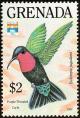 Colnect-2192-529-Purple-throated-Carib-Eulampis-jugularis.jpg