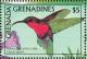 Colnect-2193-351-Purple-throated-Carib-Eulampis-jugularis.jpg