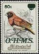 Colnect-3873-093-Chestnut-breasted-Mannikin-overprinted-OHMS.jpg