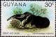 Colnect-4726-432-Giant-Anteater-Myrmecophaga-tridactyla.jpg