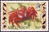 Colnect-4805-903-Sally-Lightfoot-Crab-Grapsus-grapsus.jpg