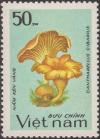 Colnect-1577-011-Cantharellus-cibarius.jpg