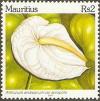 Colnect-1675-273-Anthurium-Andreanum.jpg