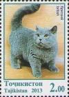 Colnect-1859-517-British-Shorthair-Felis-silvestris-catus.jpg