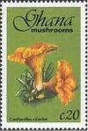 Colnect-2389-595-Cantharellus-Cibarius.jpg