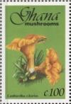 Colnect-2389-617-Cantharellus-Cibarius.jpg