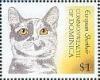 Colnect-3235-662-European-Shorthair-Felis-silvestris-catus.jpg