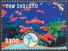 Colnect-4011-876-Splendid-Perch-Callanthias-australis-Mayor-Island---Bay-o.jpg