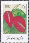 Colnect-4049-547-Anthurium-Andraeanum.jpg