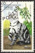 Colnect-1094-746-Striped-Shorthair-Felis-silvestris-catus.jpg