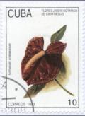 Colnect-1230-440-Anthurium-andraeanum.jpg