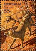 Colnect-472-732-Thylacine-Thylacinus-cyanocephalus.jpg