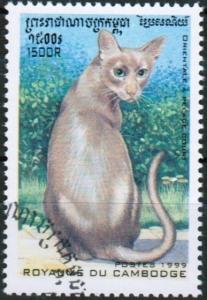 Colnect-1543-175-Oriental-Shorthair-Felis-silvestris-catus.jpg