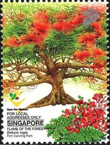 Colnect-5443-261-Flame-of-the-Forest-Delonix-regia.jpg