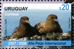 Colnect-1830-986-Brown-Skua-Catharacta-antarctica-lonnbergi.jpg