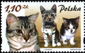 Colnect-1987-020-European-Shorthair-Felis-silvestris-catus.jpg