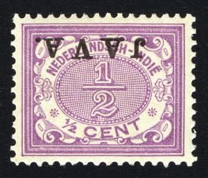 Colnect-2185-159-Type-%60Vurtheim%60-Overprinted-%60Java%60.jpg