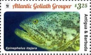 Colnect-3609-755-Atlantic-Goliath-Grouper-Epinephelus-itajara.jpg