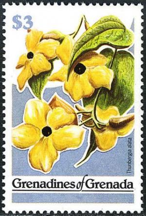 Colnect-3681-729-Thunbergia-alata.jpg