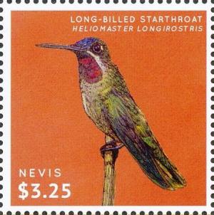 Colnect-4412-909-Long-billed-Starthroat-Heliomaster-longirostris.jpg