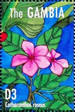 Colnect-4698-167-Catharanthus-roseus.jpg