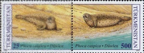 Colnect-1093-477-The-Caspian-Seal.jpg