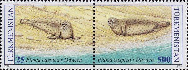 Colnect-5355-900-The-Caspian-Seal.jpg