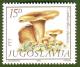 Colnect-1432-496-Cantharellus-cibarius.jpg