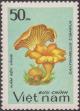 Colnect-1577-011-Cantharellus-cibarius.jpg