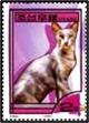 Colnect-2259-956-Oriental-Shorthair-Felis-silvestris-catus.jpg