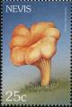 Colnect-3173-267-Cantharellus-cibarius.jpg