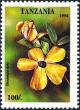 Colnect-4311-967-Thunbergia-alata.jpg